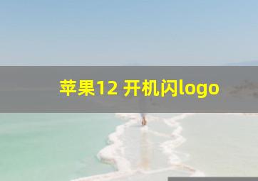 苹果12 开机闪logo